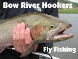 Sponsored by Bow River Hookers Fishing Adventures